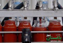رب گوجه فرنگی