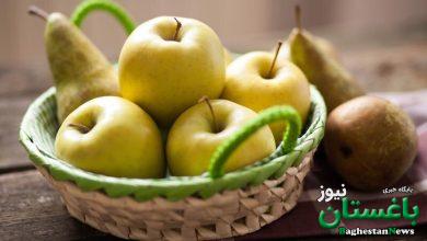 یبوست دارید؟؛ این ۳ میوه پاییزی را به رژیم غذایی‌تان اضافه کنید