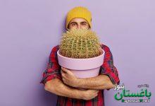 کاکتوس - گل و گیاه