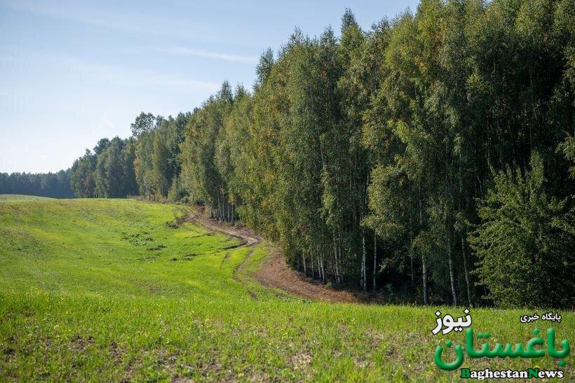 اکوتون ها ، مرزهای فراموش شده طبیعت