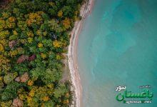 اکوتون- طبیعت- مرز دو زیستگاه
