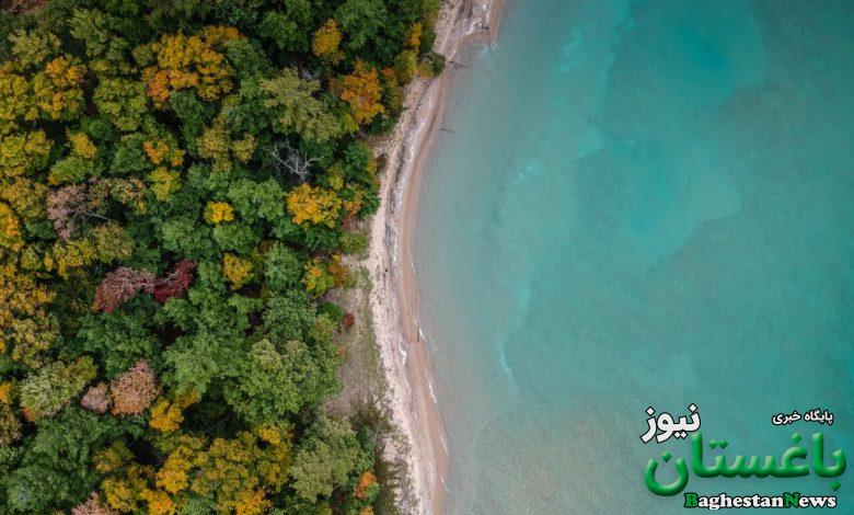 اکوتون- طبیعت- مرز دو زیستگاه