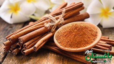 عکس‌های دارچین