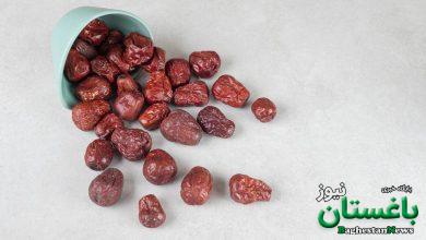 عناب برای چی خوبه -  خواص جوشانده عناب