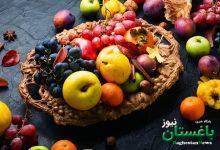 میوه
