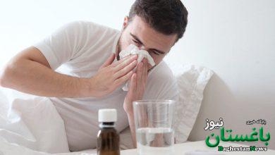 فین کردن