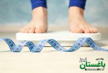 لاغری - چاقی - رژیم غذایی