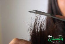 موخوره - آرايش - زيبايي
