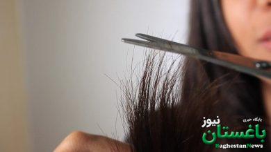 موخوره - آرايش - زيبايي