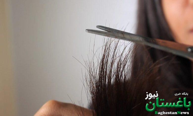 موخوره - آرايش - زيبايي